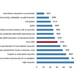 Tüik: Tarım ürünleri üretici fiyat endeksi (Tarım-ÜFE) yıllık %61,24 arttı, aylık %0,91 azaldı