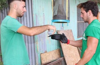 Büyükşehir’in karasinek kapanları çok işe yarıyor