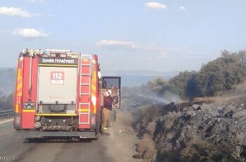 İzmir İtfaiyesi Dikili’de orman yangınına müdahale ediyor