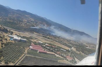 İzmir’in Menemen ilçesindeki yangına müdahale sürüyor