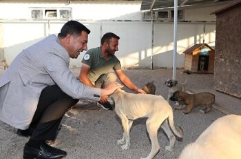 Nevşehir Belediye Başkanı Rasim Arı, Nevşehir’e yeni bir Hayvan Kasabası kazandırmak için çalışmalara başladıklarını açıkladı