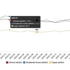 Tüik: Güven endeksi hizmet sektöründe %1,1 azaldı, perakende ticaret sektöründe %1,5 azaldı, inşaat sektöründe %0,9 azaldı