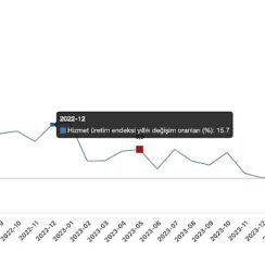 Tüik: Hizmet üretim endeksi yıllık %0,8 arttı