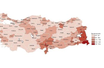 Tüik: İl Düzeyinde İşgücü İstatistikleri, 2023