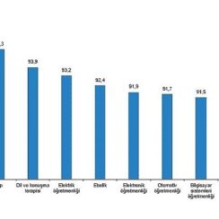 Tüik: Lisans mezunlarında kayıtlı istihdam oranı 2023 yılında %75,6 olarak gerçekleşti