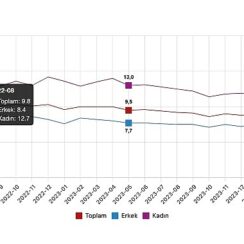 Tüik: Mevsim etkisinden arındırılmış işsizlik oranı %8,4 seviyesinde gerçekleşti