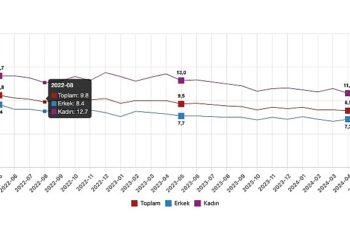 Tüik: Mevsim etkisinden arındırılmış işsizlik oranı %8,4 seviyesinde gerçekleşti