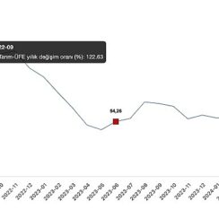 Tüik: Tarım ürünleri üretici fiyat endeksi (Tarım-ÜFE) yıllık %54,58 arttı, aylık %1,95 arttı