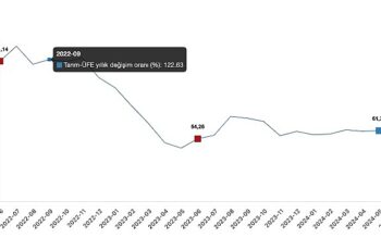 Tüik: Tarım ürünleri üretici fiyat endeksi (Tarım-ÜFE) yıllık %54,58 arttı, aylık %1,95 arttı