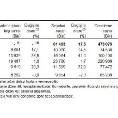 Tüik: Yurt içinde ikamet eden 8 milyon 262 bin kişi seyahate çıktı