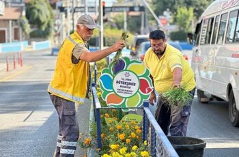 Aydın Büyükşehir Belediyesi kent genelinde temizlik ve bakım çalışmalarına hız kesmeden devam ediyor.