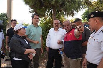 Didim’de dün öğlen saatlerinde Akyeniköy Mahallesi, Hisar Mahallesi ve Cumhuriyet Mahallesi olmak üzere 3 ayrı noktada çıkan yangın, rüzgârın etkisi ile büyük alana yayıldı