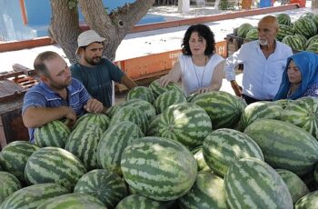 İzmir Büyükşehir Belediyesi ve Kınık Belediyesi’nden Çiftçilere Destek: Ürünler Tarlada Kalmadı, Vatandaşlara Dağıtıldı…