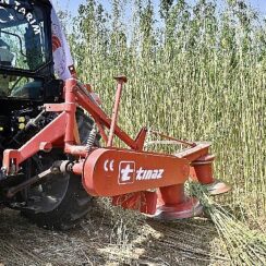 İzmir’de İlk Defa İzinli ve Kontrollü Olarak Lif ve Tohum Üretimi Amacıyla Yetiştirilen Kenevirin Hasadı Gerçekleştirildi