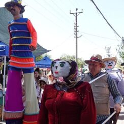 Tarımsal kalkınmanın gönüllü elçisi  Barbaros Oyuk Festivali’ne ilgi yoğundu