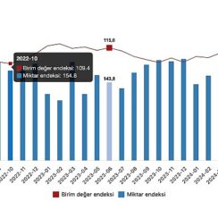 Tüik: İhracat birim değer endeksi %0,6 azaldı