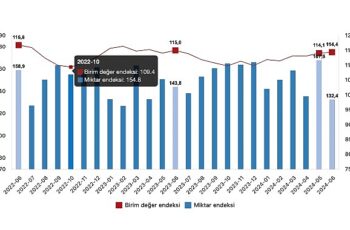 Tüik: İhracat birim değer endeksi %0,6 azaldı