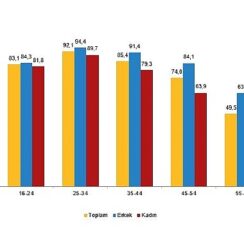 Tüik: İnternet kullanan bireylerin oranı %88,8 oldu