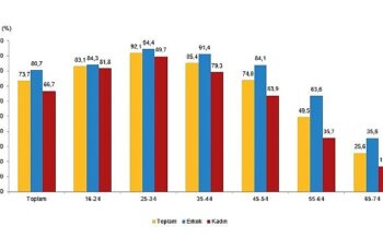 Tüik: İnternet kullanan bireylerin oranı %88,8 oldu