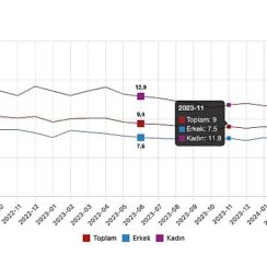 Tüik: Mevsim etkisinden arındırılmış işsizlik oranı %9,2 seviyesinde gerçekleşti