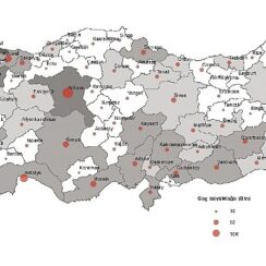 Tüik: Türkiye’de 2023 yılında 3 milyon 450 bin 953 kişi iller arasında göç etti