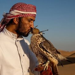 4 Bölümlük ‘Vahşi Arabistan’ 21 Eylül Cumartesi Günü 20.00’de National Geographic WILD Ekranlarında Başlıyor!