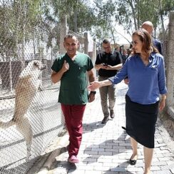 Karşıyaka Belediyesi yeni hayvan barınağı için düğmeye bastı