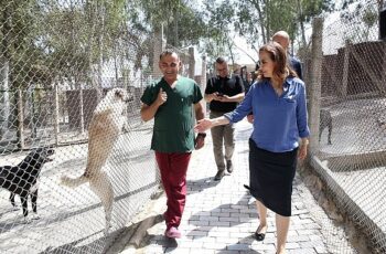 Karşıyaka Belediyesi yeni hayvan barınağı için düğmeye bastı