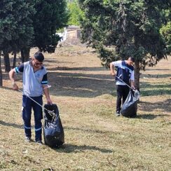 Park ve bahçelerde sonbahar temizliği