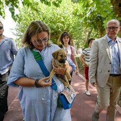 Sahipsiz Köpek Popülasyonu Yönetimi İzmir Eylem Planı hazırlandı