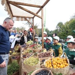 Samanlı Dağlarına 10 Kızıl geyik salındı;  Doğa dostu Büyükşehir ekosistemi koruyor