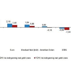 Tüik: Aylık en yüksek reel getiri külçe altında oldu