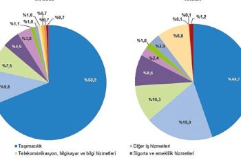 Tüik: Hizmet ihracatı 2023 yılında 56,5 milyar dolar, ithalat ise 41,4 milyar dolar olarak gerçekleşti
