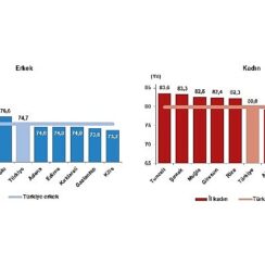 Tüik: İlk kez eğitim durumuna göre beklenen yaşam süresi hesaplandı