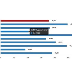 Tüik: Yurt İçi Üretici Fiyat Endeksi (Yİ-ÜFE) yıllık %35,75 arttı, aylık %1,68 arttı