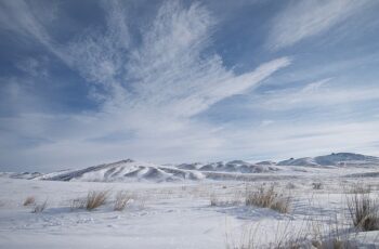 ‘Vahşi Moğolistan: Mavi Gökyüzü Ülkesi’ 7 Eylül Cumartesi Günü 21.00’de National Geographic WILD Ekranlarında!