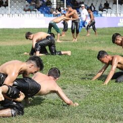 Yağlı güreşin büyük başpehlivanları Ulugazi Er Meydanı’na çıkıyor