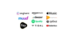 Müzik Dağıtım