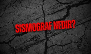 Sismograf Nedir?