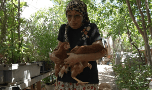 İzmir’deki yangından kurtarılan tavuklarına kavuştu