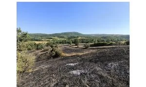 Yangında zarar gören çiftçilere gübre ve tohum desteği