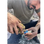 Alevlerin ortasında bir damla hayat