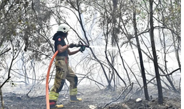 İzmir İtfaiyesi Menderes’te alevlerle mücadele ediyor