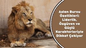 Aslan Burcu Özellikleri: Liderlik, Özgüven ve Güçlü Karakterleriyle Dikkat Çekiyor
