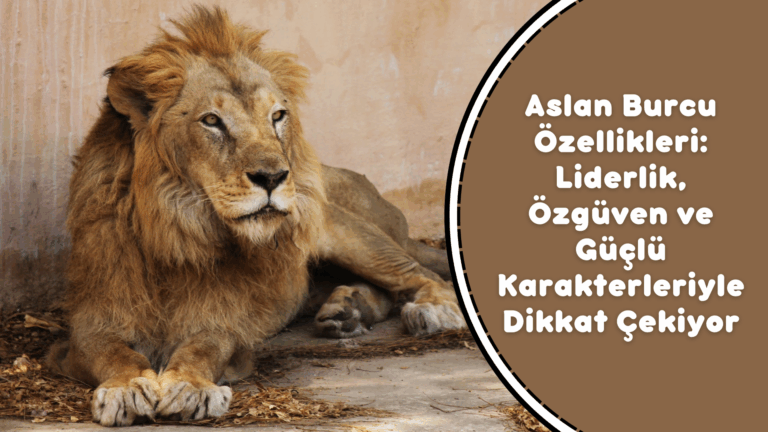 Aslan Burcu Özellikleri: Liderlik, Özgüven ve Güçlü Karakterleriyle Dikkat Çekiyor