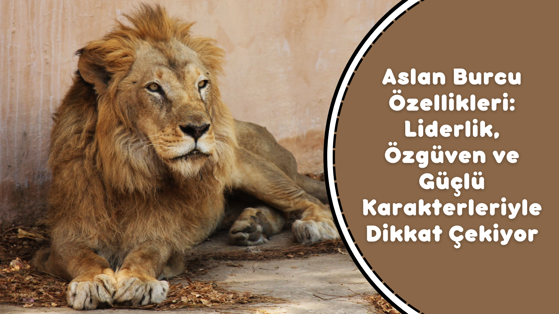 Aslan Burcu Özellikleri: Liderlik, Özgüven ve Güçlü Karakterleriyle Dikkat Çekiyor