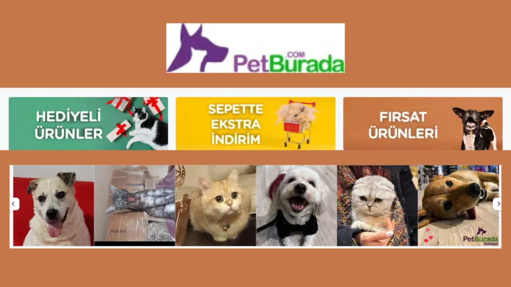 Köpek ve Kedi Maması Fiyatlarının Fahiş Olmasının Nedenleri Köpek ve Kedi Maması Fiyatlarının Fahiş Olmasının Nedenleri