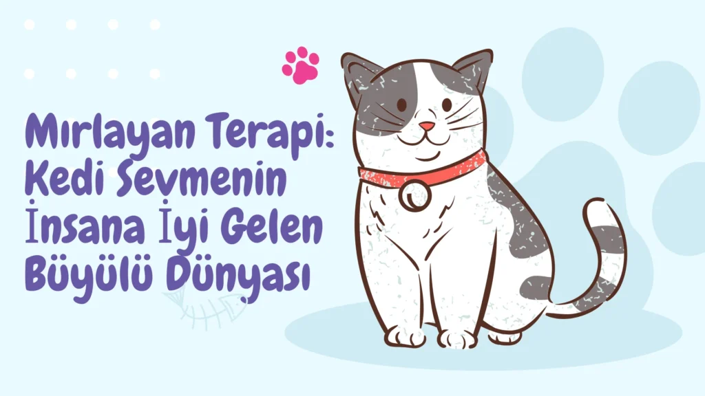 Mırlayan Terapi: Kedi Sevmenin İnsana İyi Gelen Büyülü Dünyası